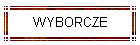 WYBORCZE